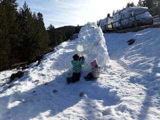 En ce moment, vous voyez Vall de La Vansa : un pont de ski avec des enfants et un chien