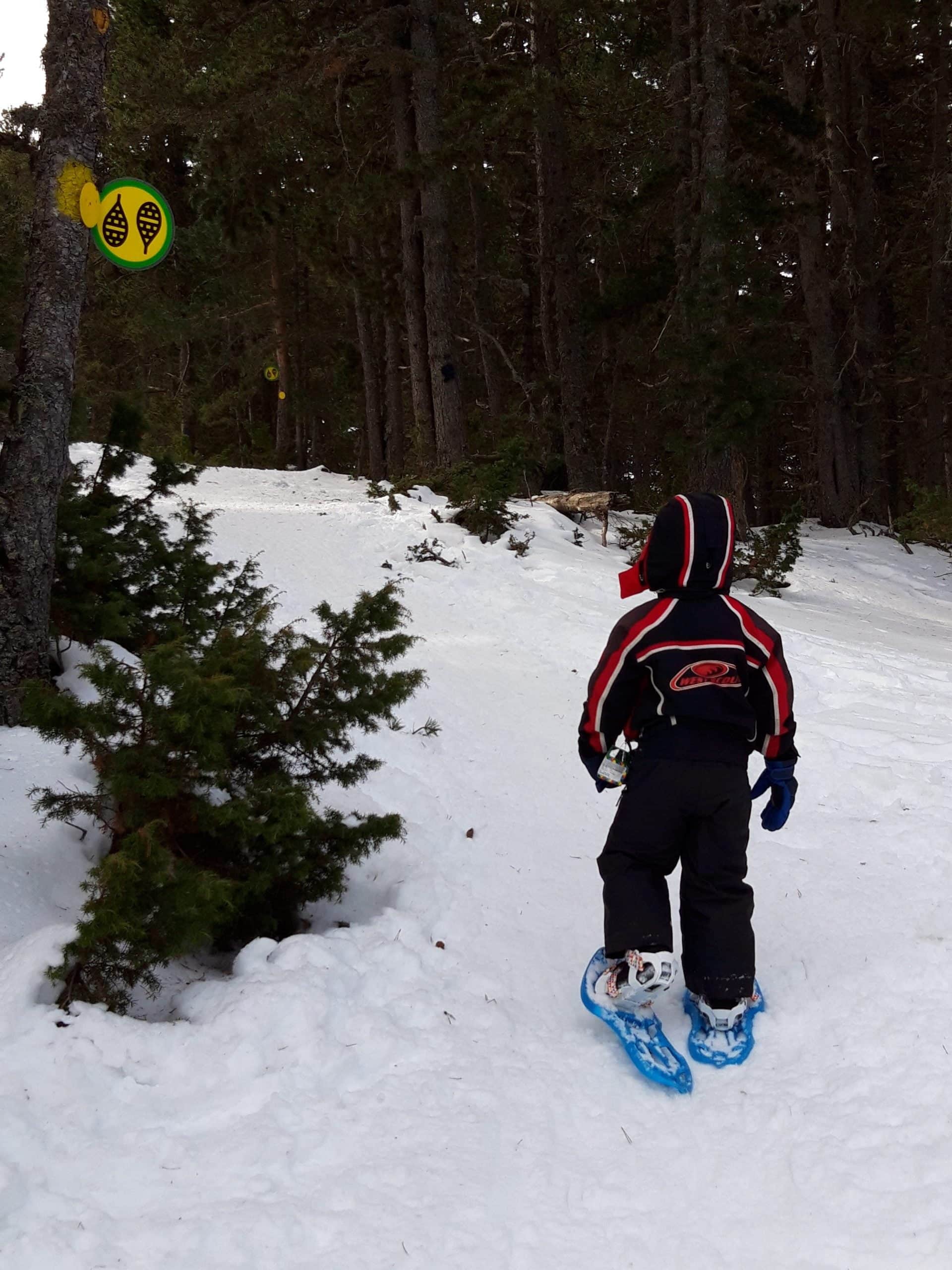 Raquetas de nieve con niños