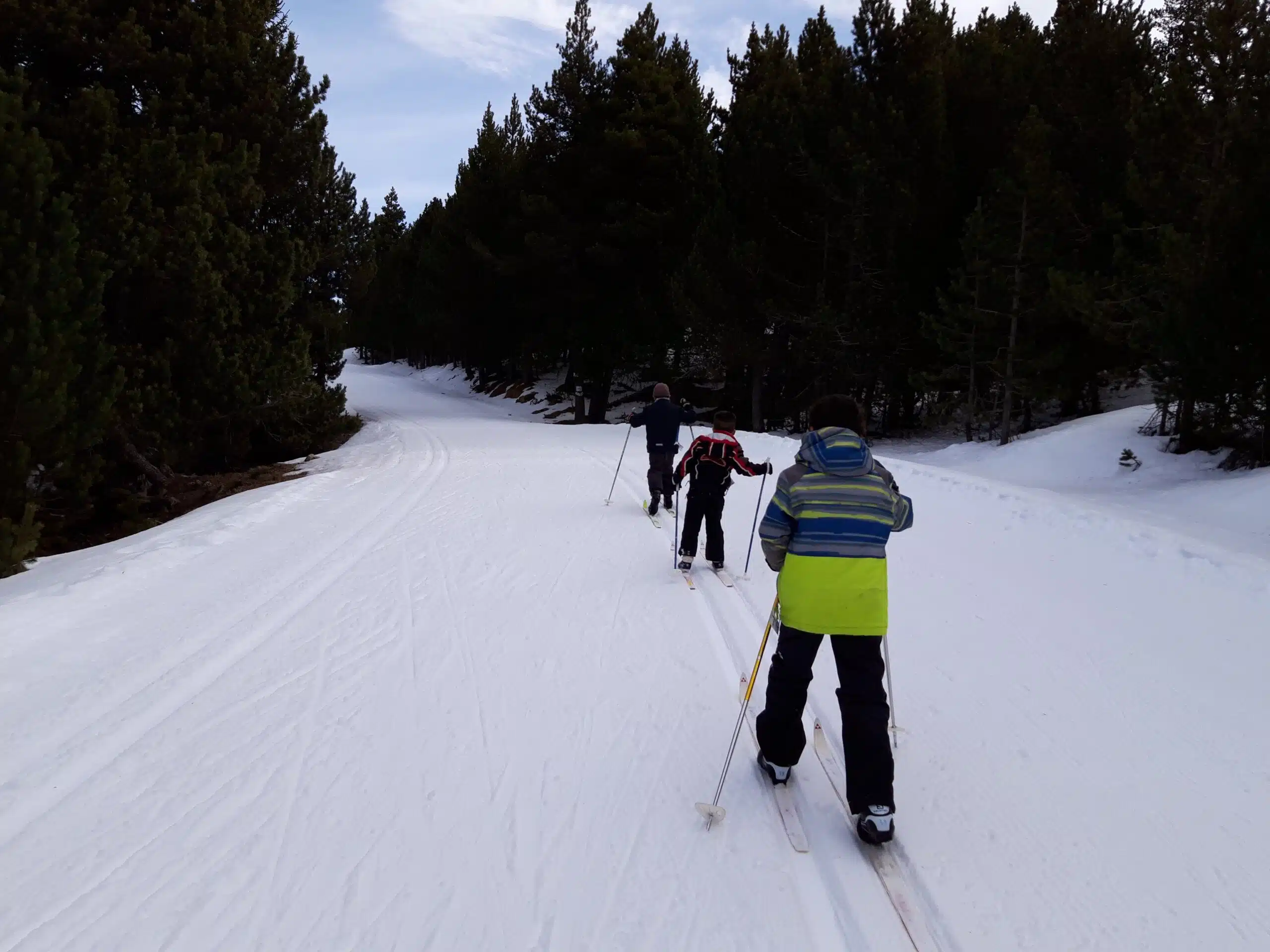 Sentier de ski de fond vert