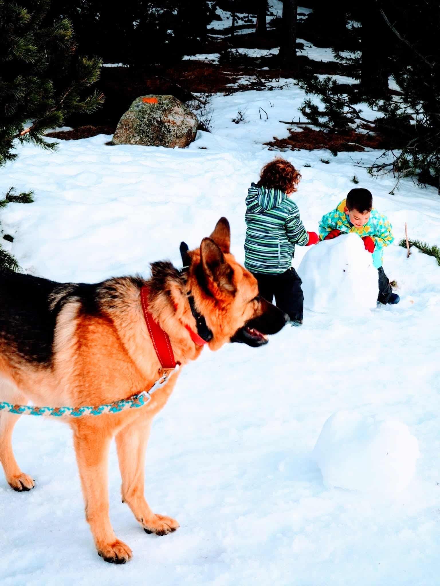 Lee más sobre el artículo Font-Romeu, escapada de nieve 10 para familias