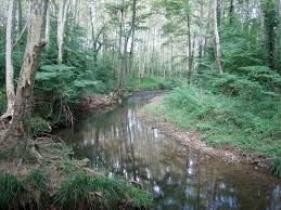 El río Brugent de Sant Feliu de Pallerols