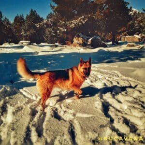 Lles de Cerdanya