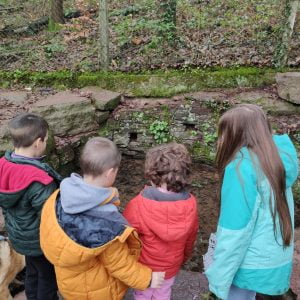 Foresta di Merin, Broceliande