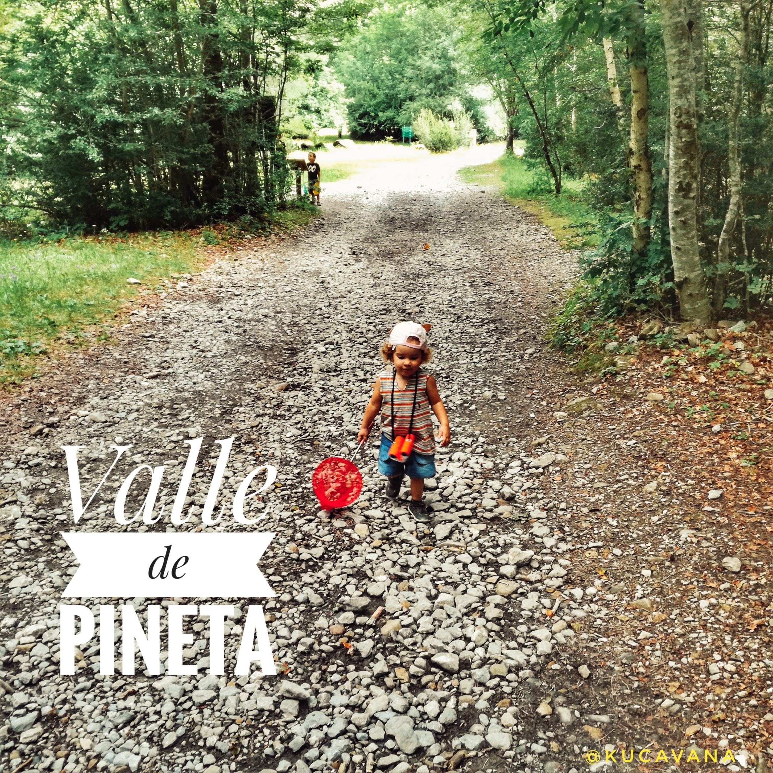 Read more about the article El Valle de Pineta, calm and magical forests