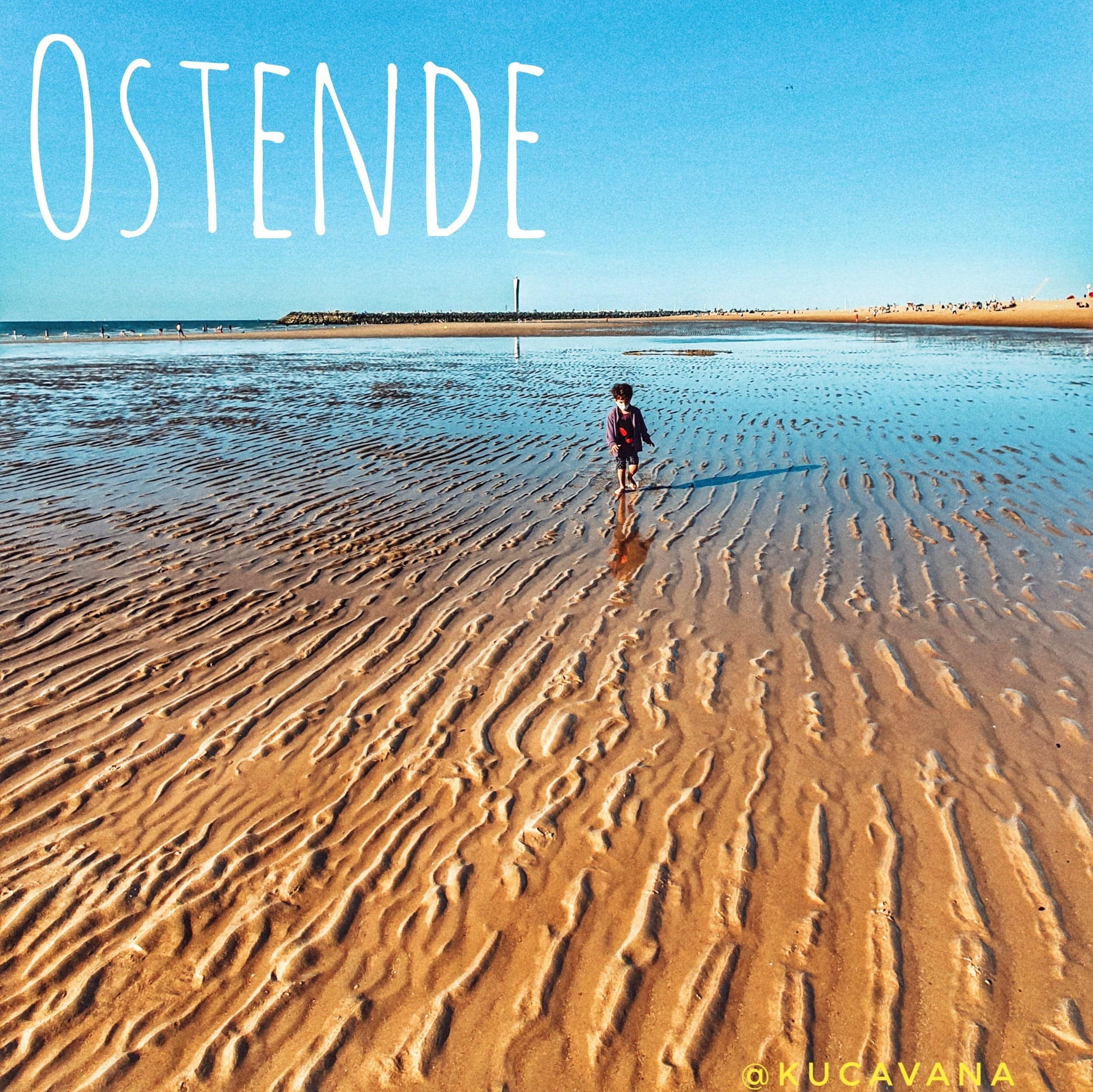 En este momento estás viendo Que ver en Ostende, la costa de Bélgica que recordaremos por sus focas y James Ensor