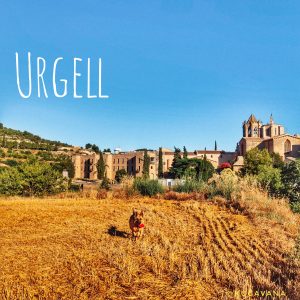 Lee más sobre el artículo ⭐  L’Urgell Camper Tour: ¡La Toscana Catalana en una guía clic & go! ⭐