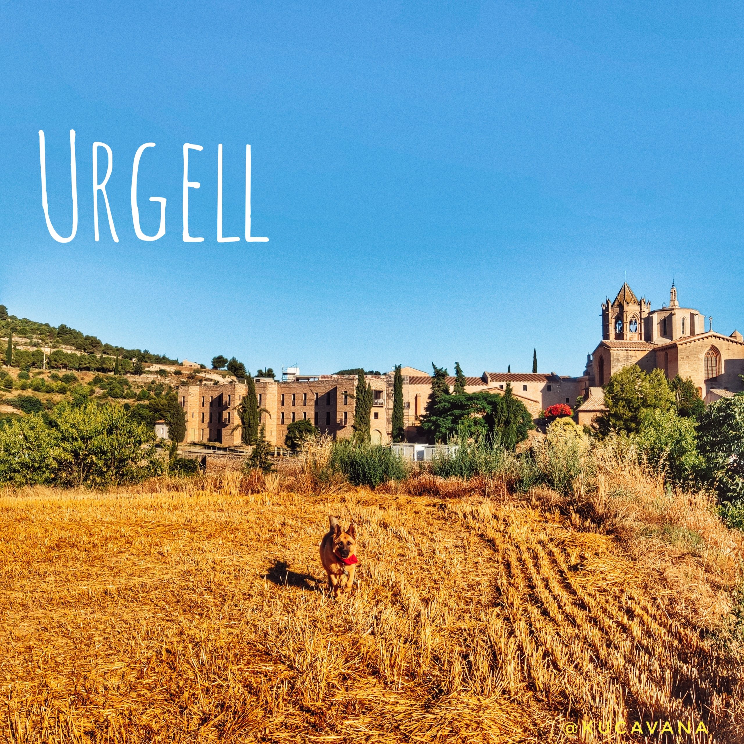 Read more about the article ⭐ L'Urgell Camper Tour: Catalan Tuscany in a click & go guide! ⭐