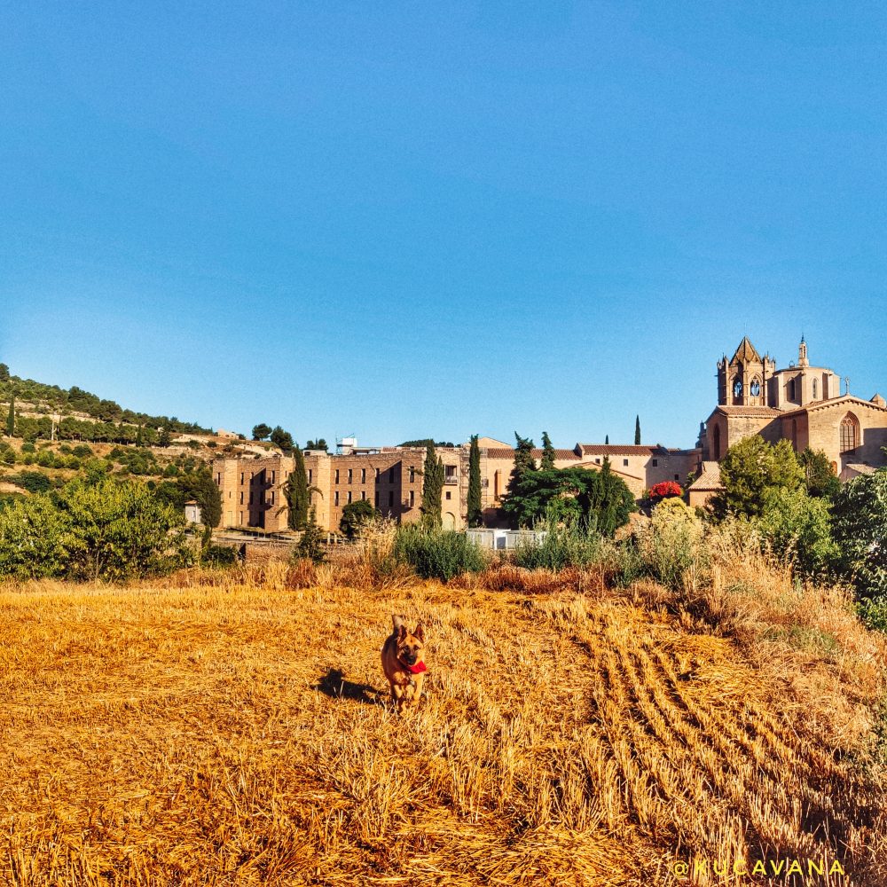 Monestir Vallbona de les Monges ( Urgell )