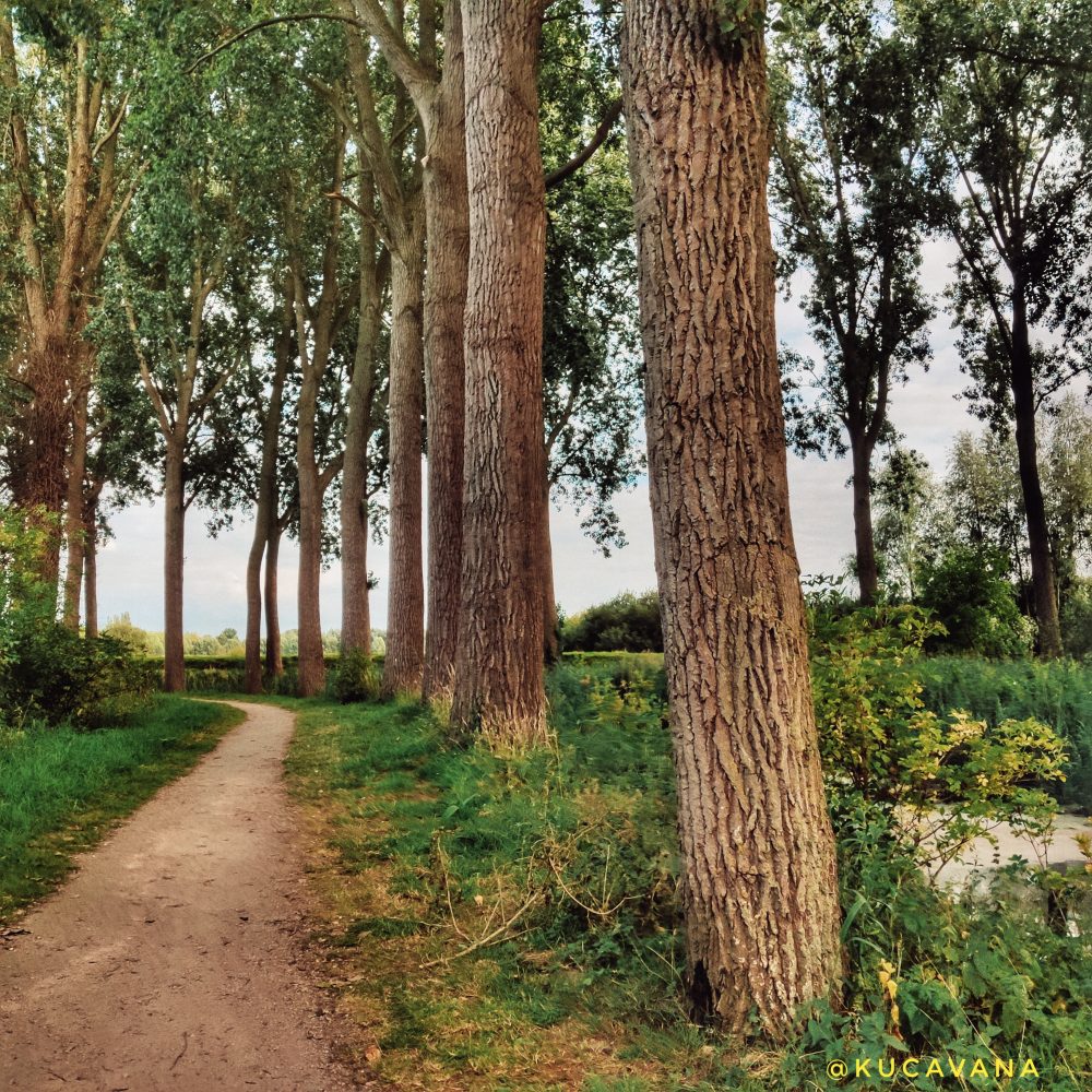 Damme Belgio cosa vedere