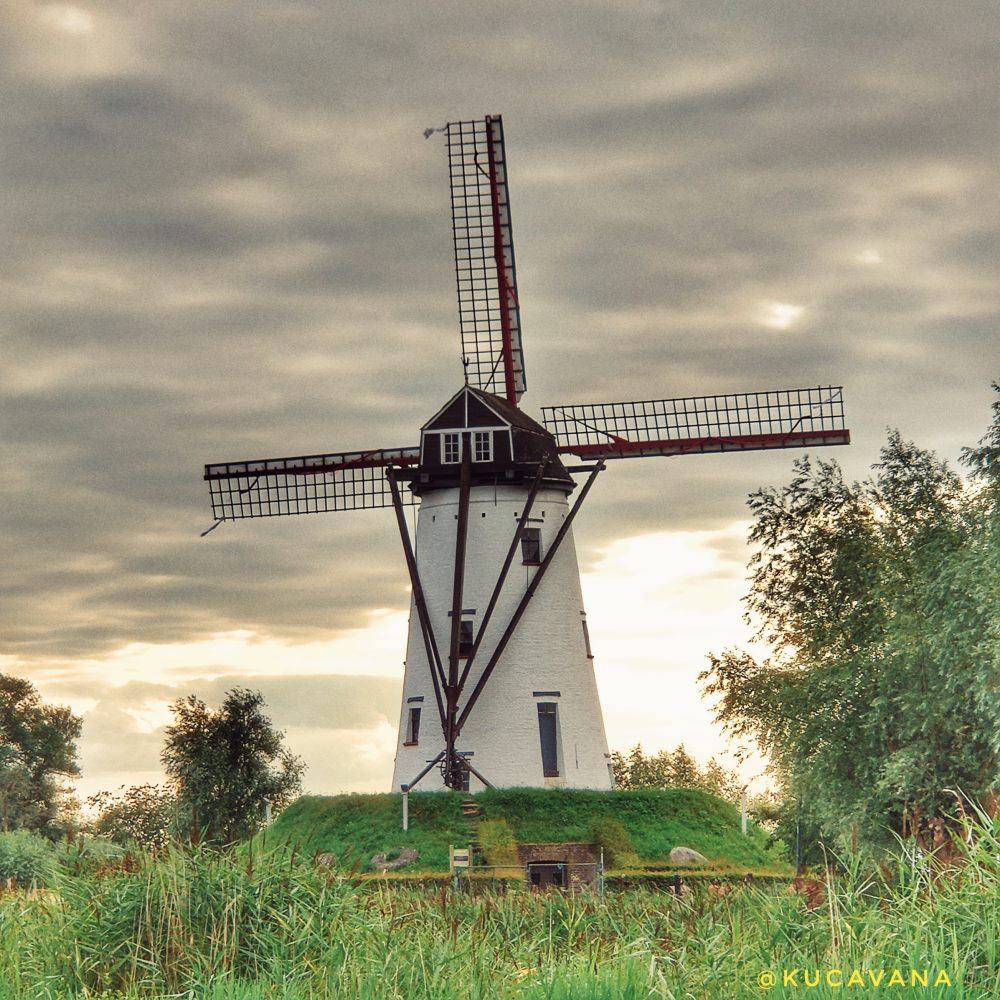 Damme Belgio cosa vedere