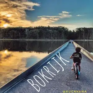 Read more about the article Bokrijk Fietsen Door de Bomen, a cycling route through the water