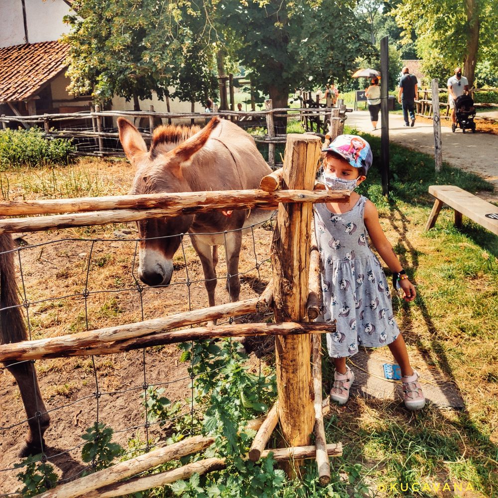 belgica para niños