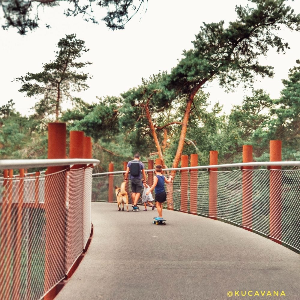 Bosland Limburgo ruta ciclista por encima de los arboles