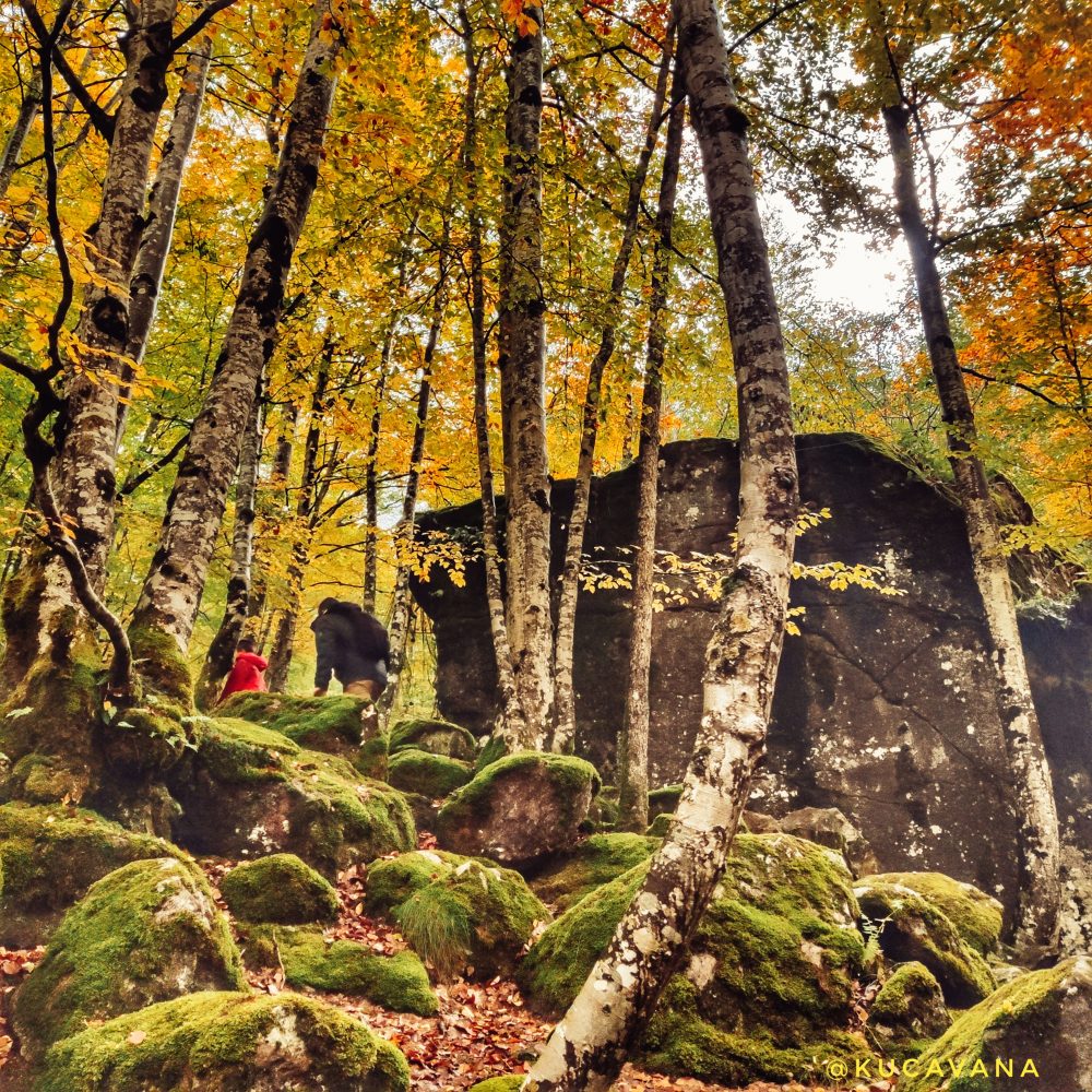 Vallée d'Orlu