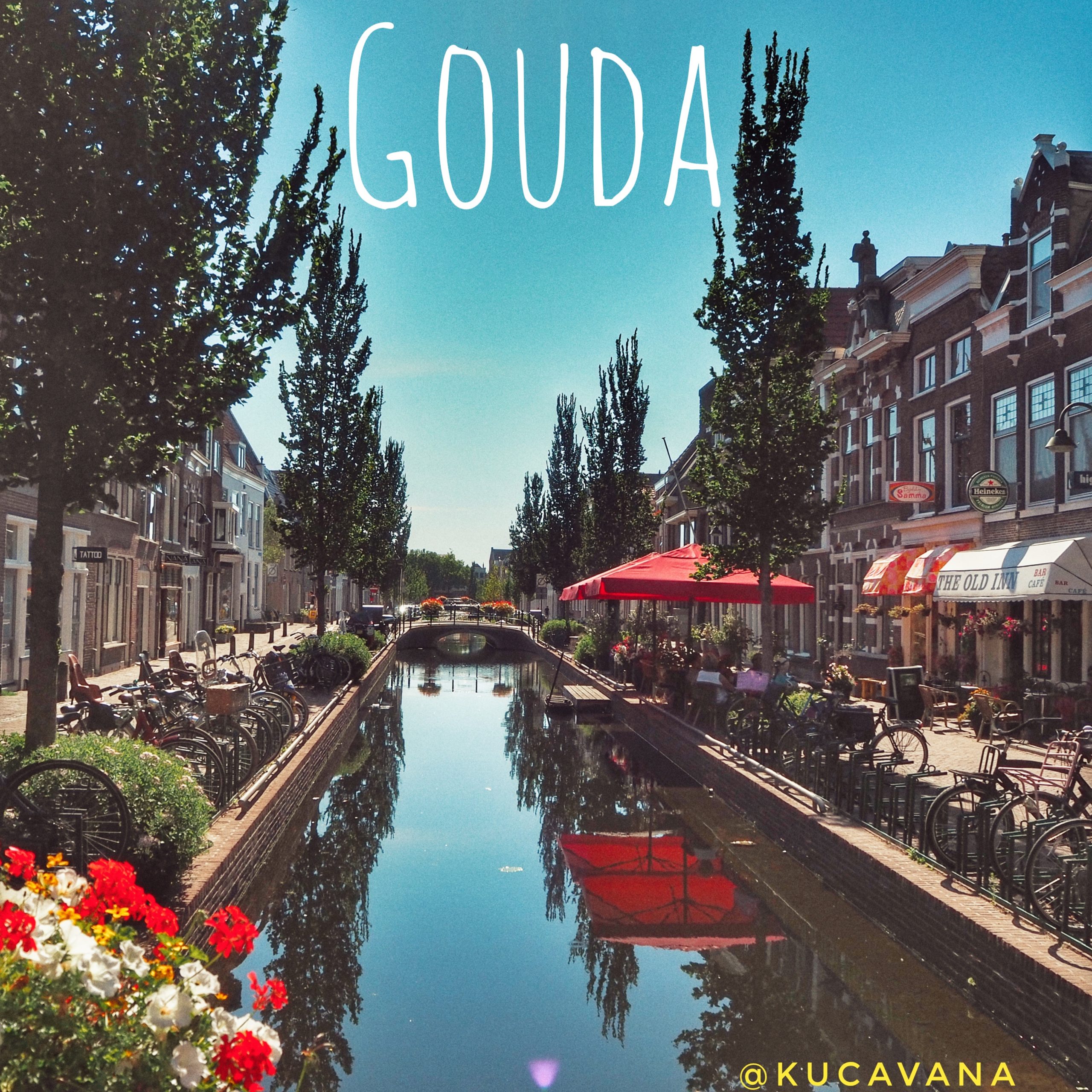 que ver en gouda