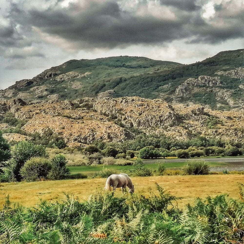 Ruta por Zamora en autocaravana o camper