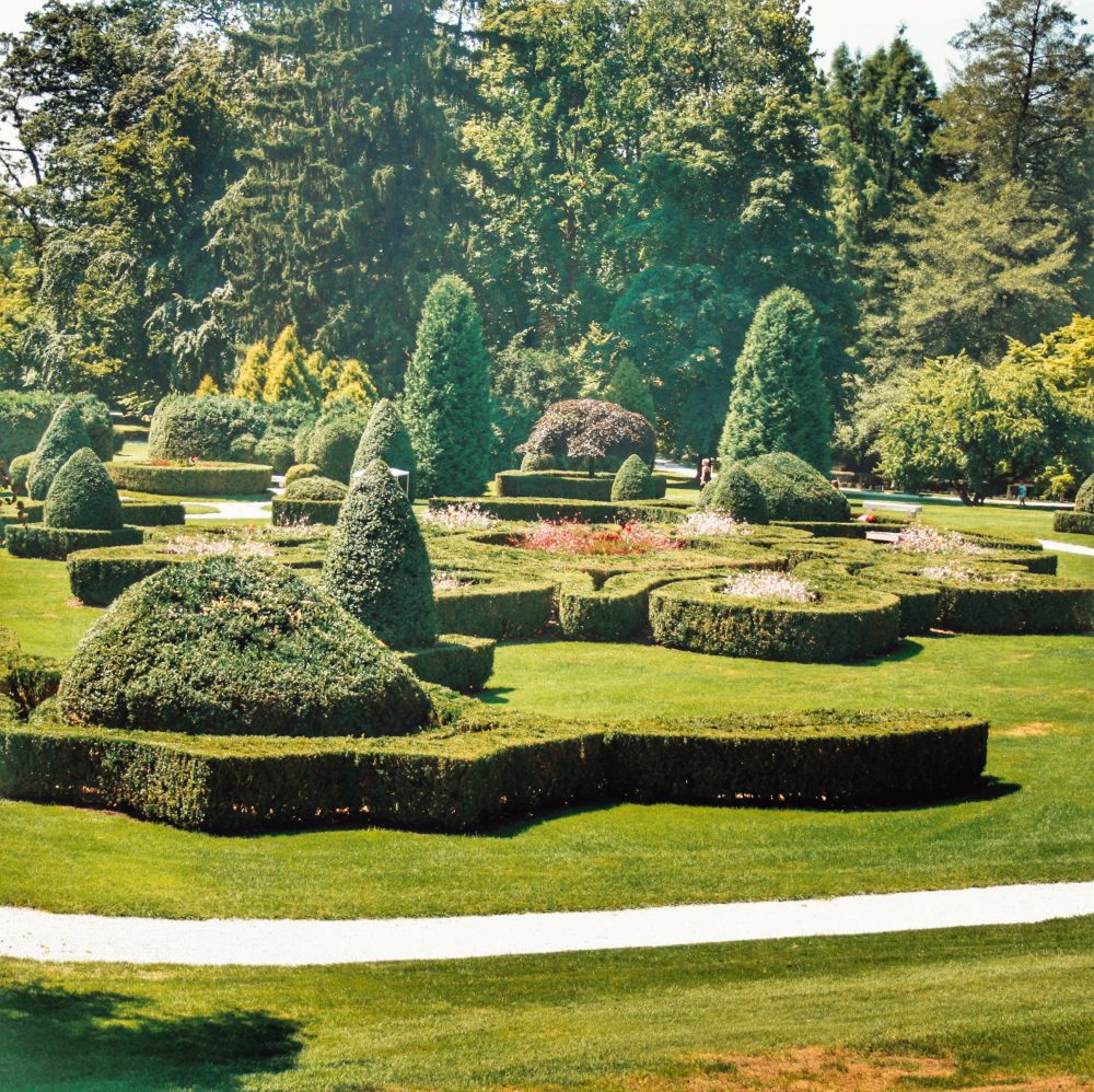 Radomlje (arboreto de Volcji Potok)