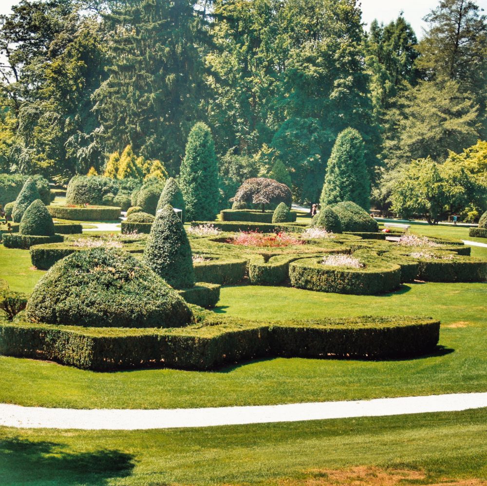 Radomlje (arboretum Volcji Potok)