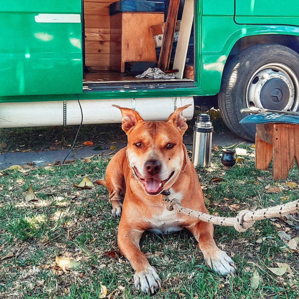 Argentina by motorhome, route 40