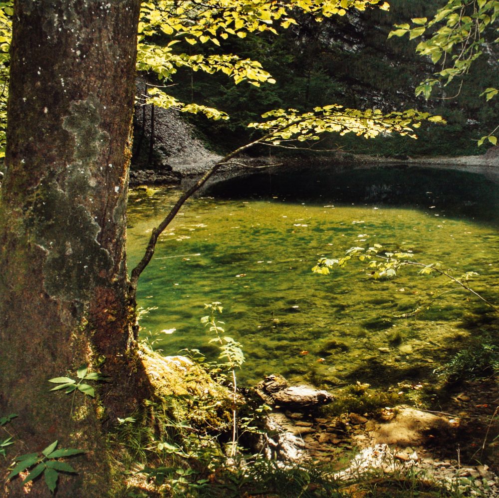 Idrija (Divje Jezero) en Eslovenia en furgoneta camper