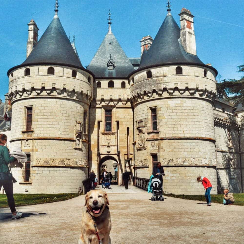 Un viaje a castillod del Loira con el castillo de Chaumont aquí