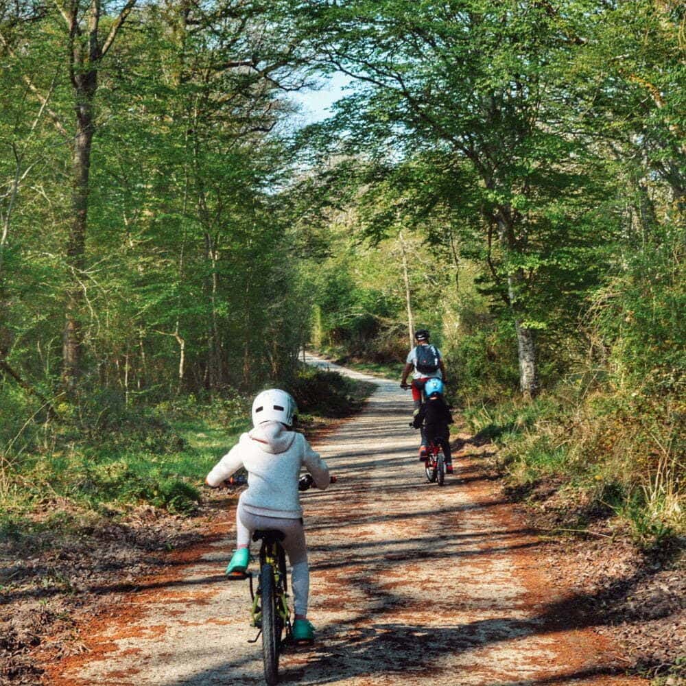 Castillos del Loira en bici con parada al Castillo de Chambord