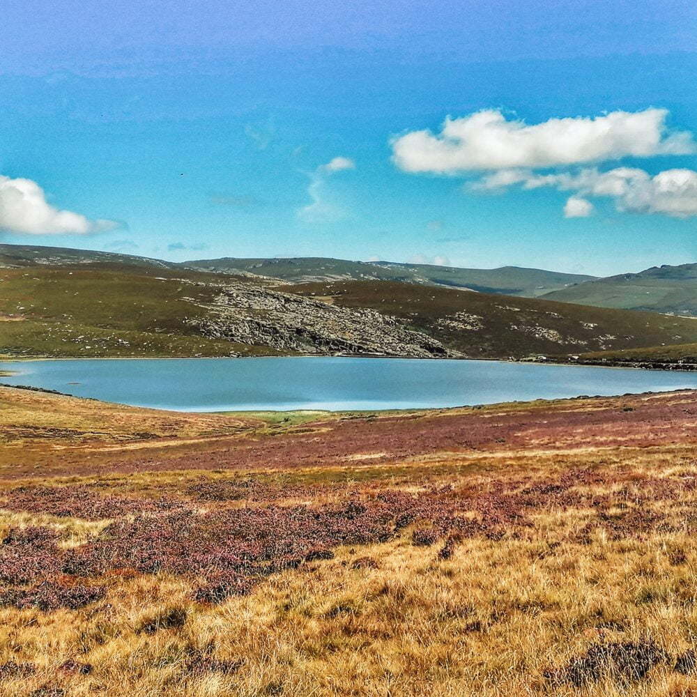 Laguna de los Peces adapted itinerary in Zamora