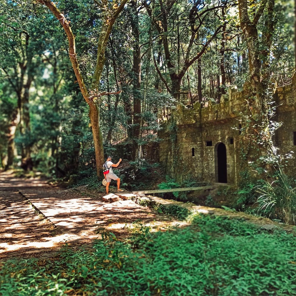 Floresta encantada perto de Aldán