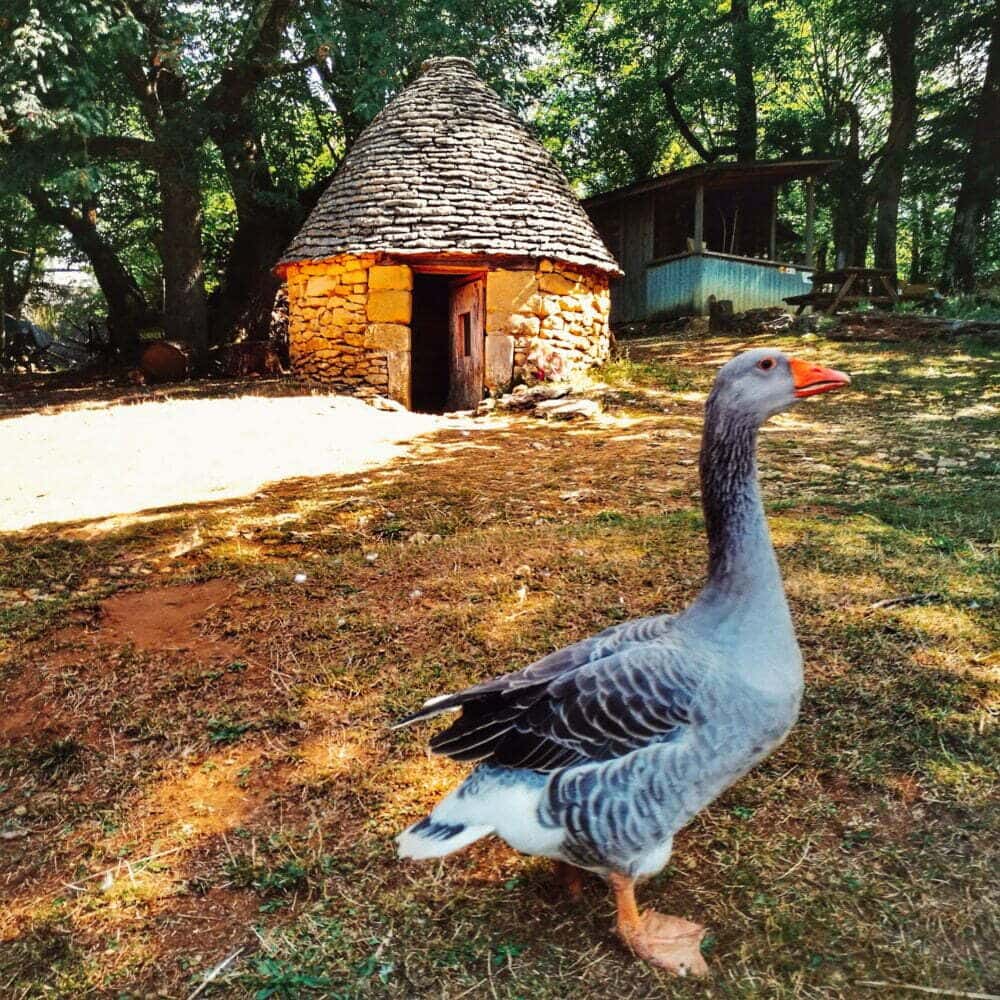 Perigord con bambini in camper. Cabannes de Breuil