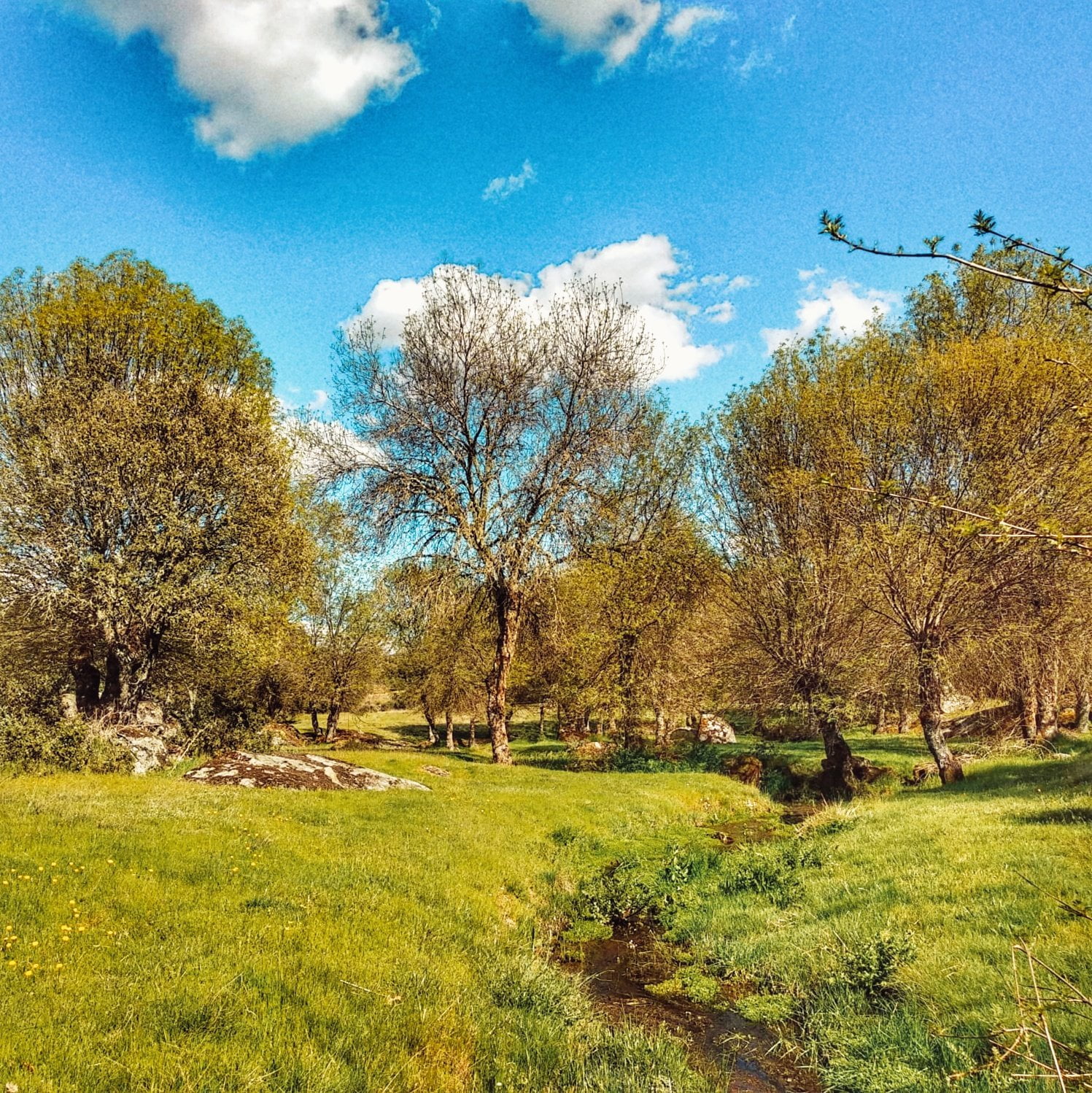 A veure Arribes de Duero en autocaravana