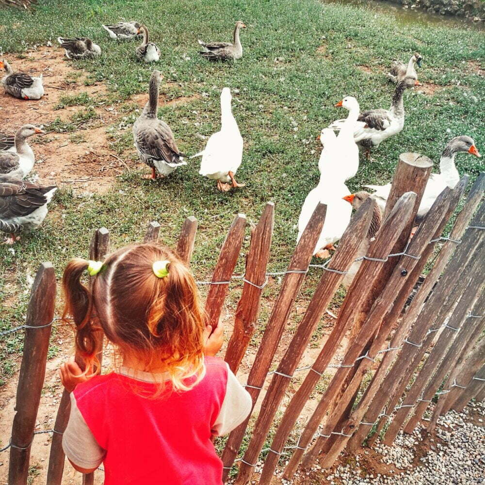 Que hacer en Dordoña con niños en autocaravana: Le Bounat