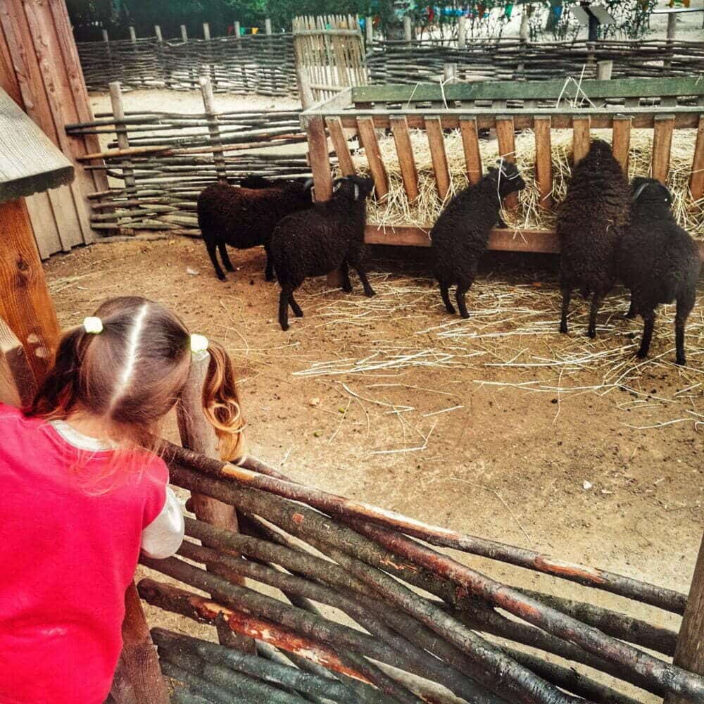 Was in der Dordogne mit Kindern in einem Wohnmobil zu tun ist: Le Bounat