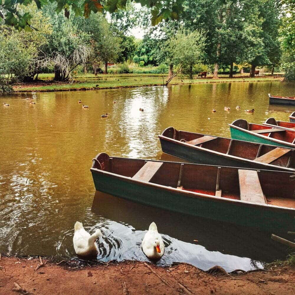 What to do in the Dordogne with children in a motorhome: Le Bounat