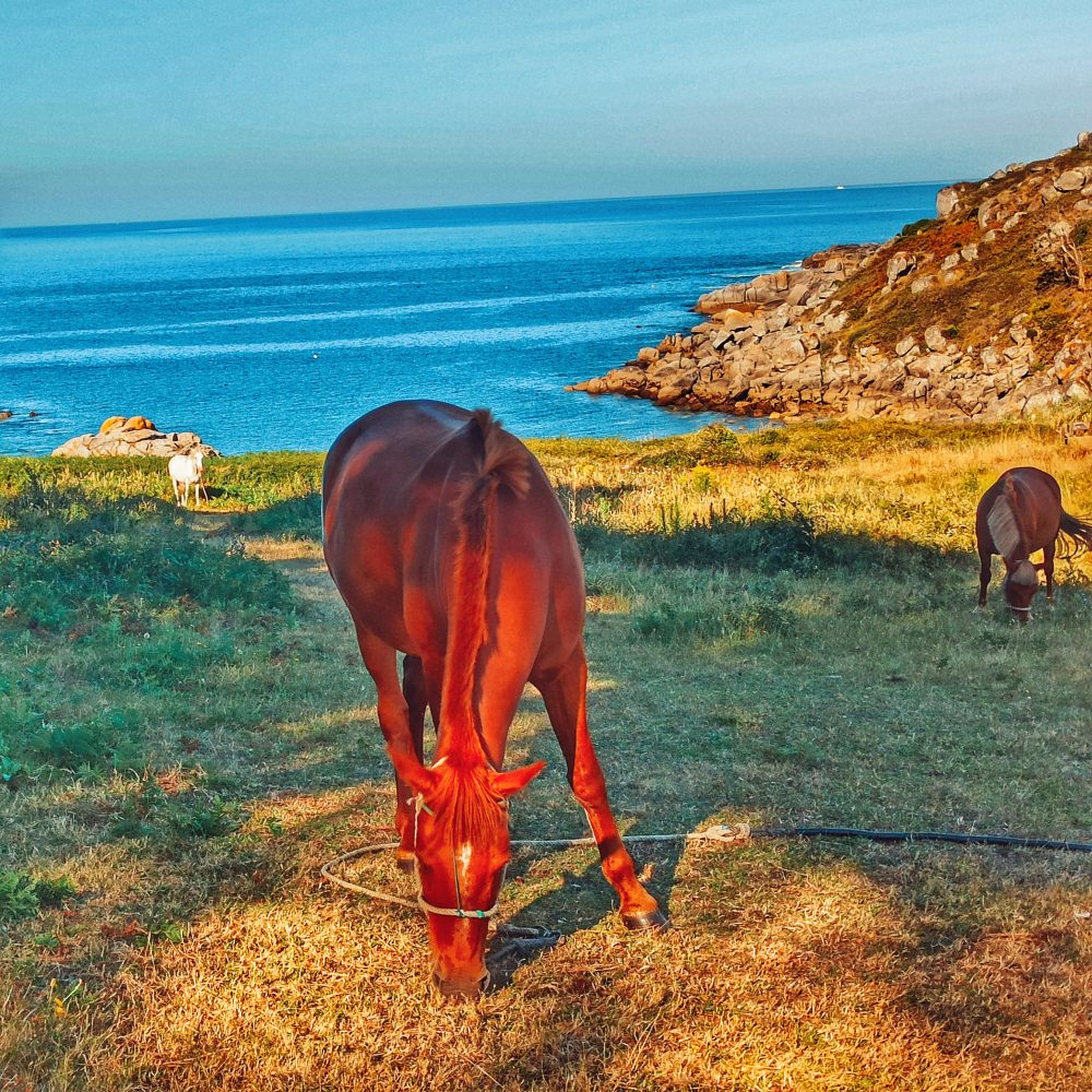 Ancoradouro Strand auf der Höhe von Aldán