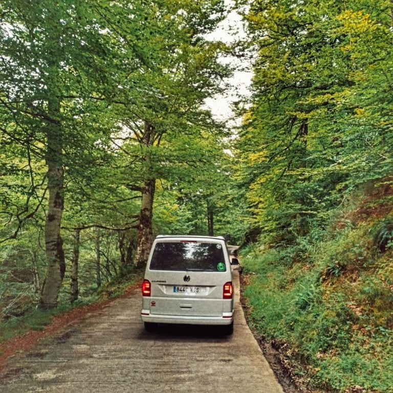 Foresta di Irati di van