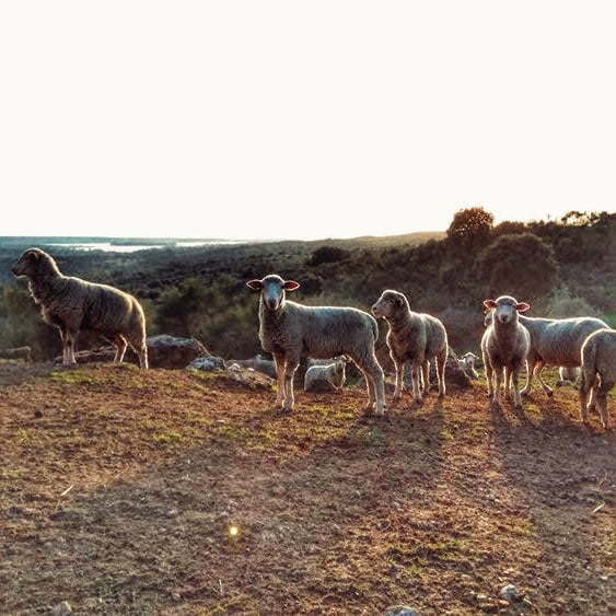 Caceres en autocaravana en una ruta por la Sierra de Gata