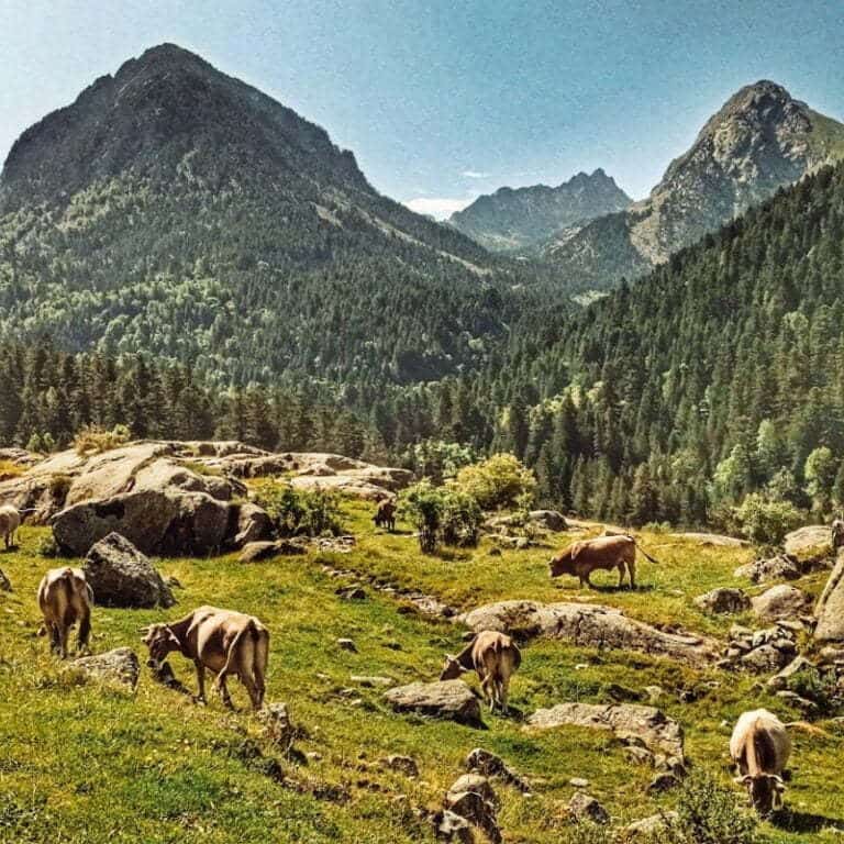 Vall de Boi avec des enfants
