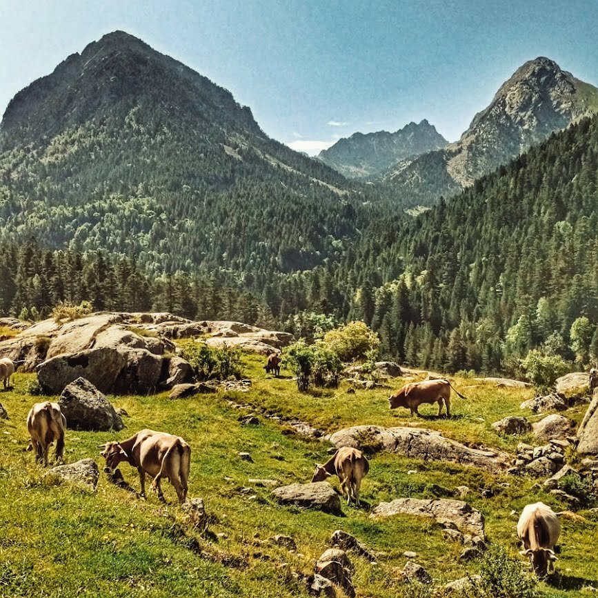 Vall de Boi con niños