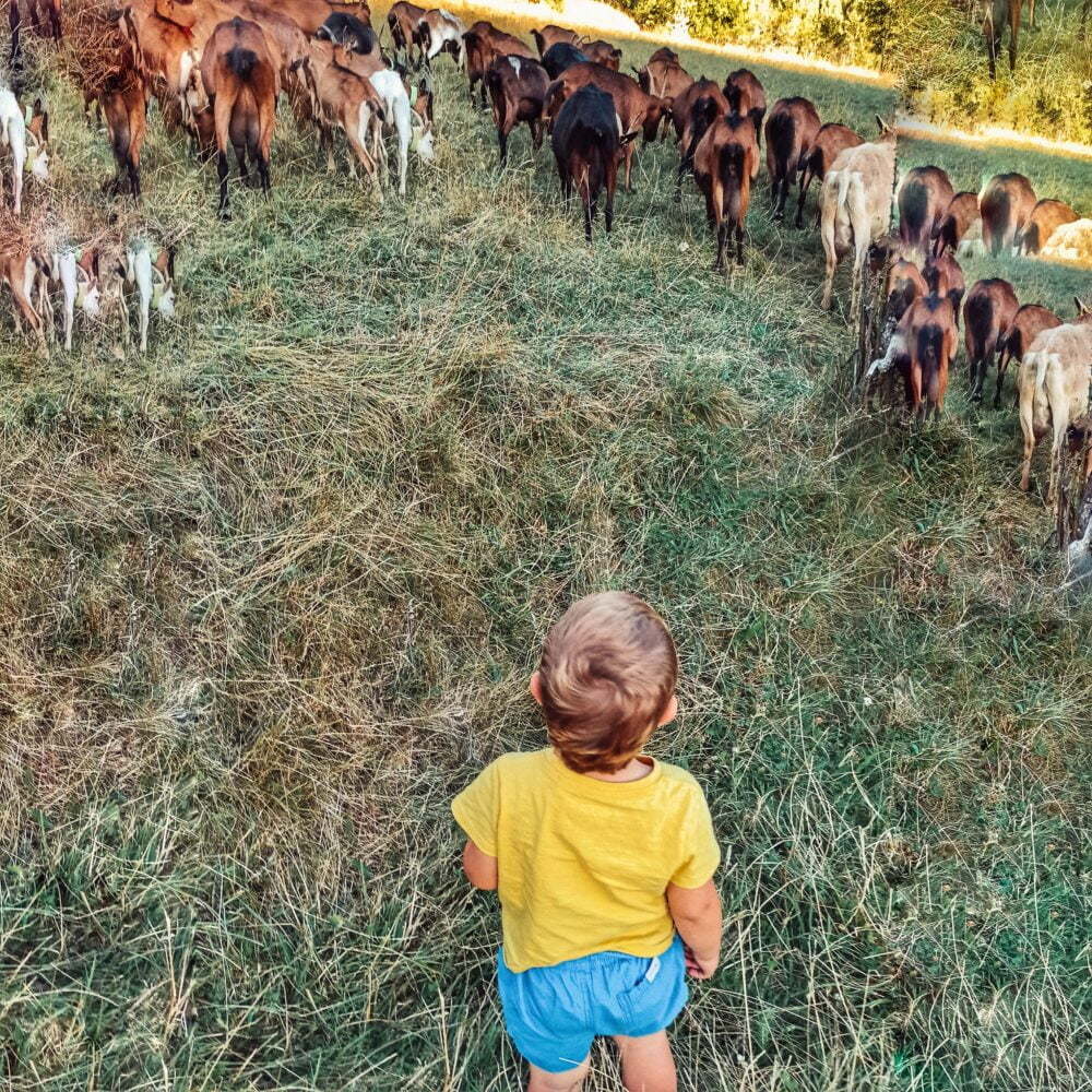 Valls d'Aneu con niños