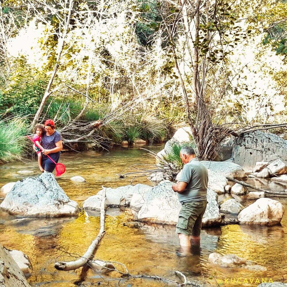 Gorgas de la Muga Albanyà