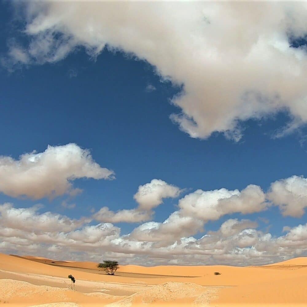 Sahara by motorhome