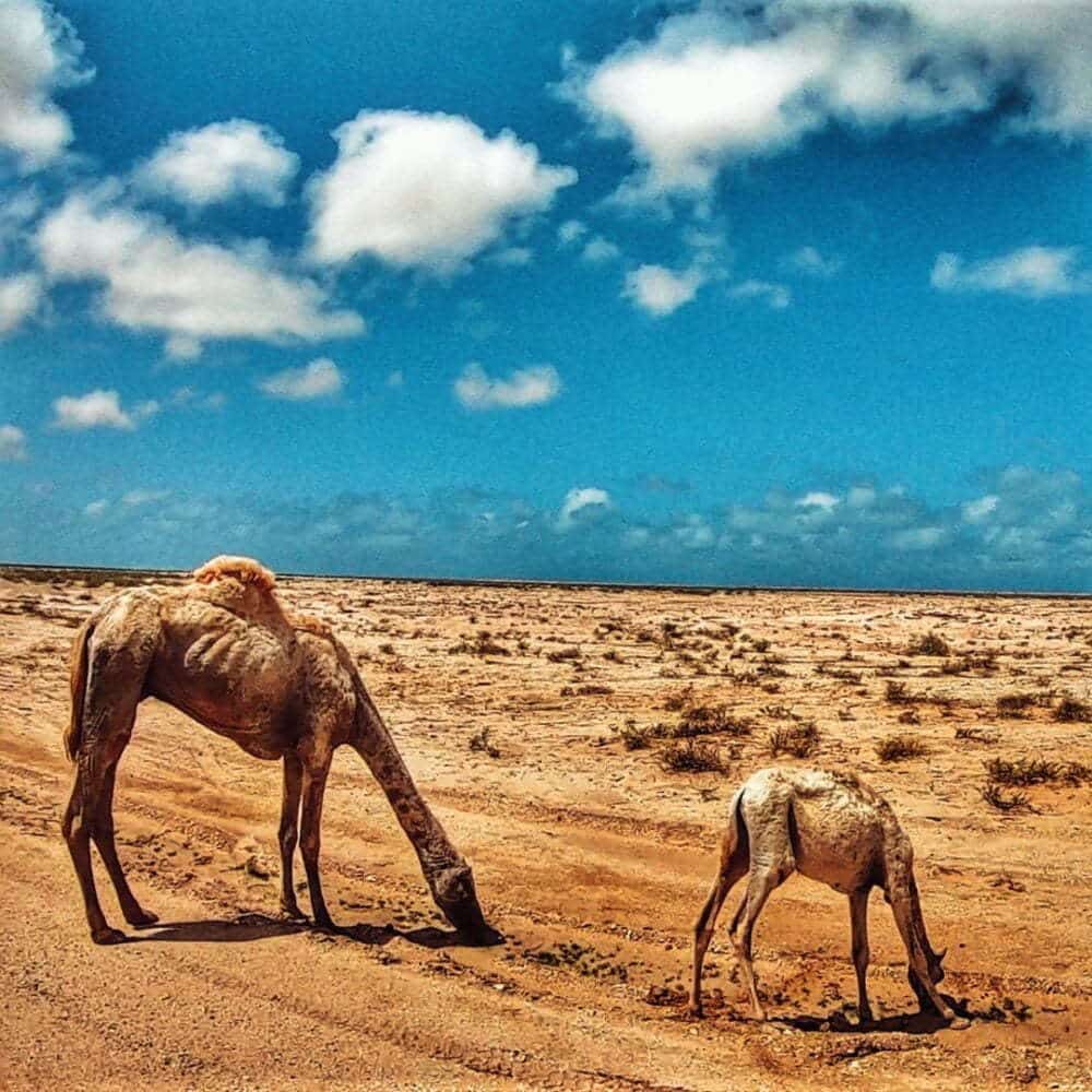 Sahara de autocaravana