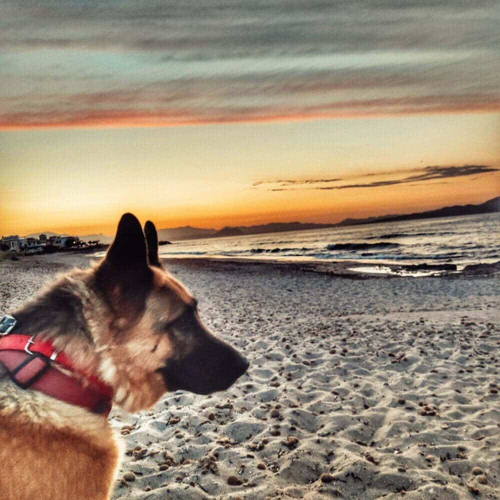 Son Serra de Marina sulla spiaggia dei camper