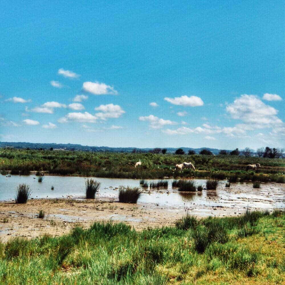 S'Albufera di Maiorca in camper