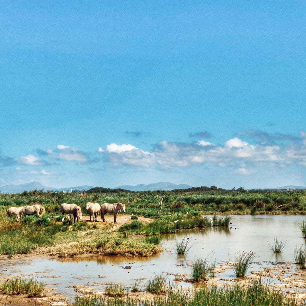 S'Albufera di Maiorca in camper