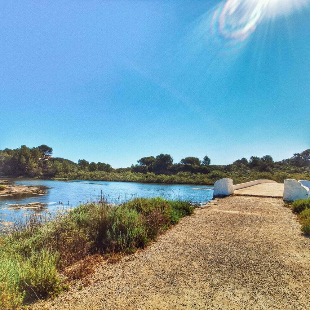 S'Albufera des Grau by motorhome