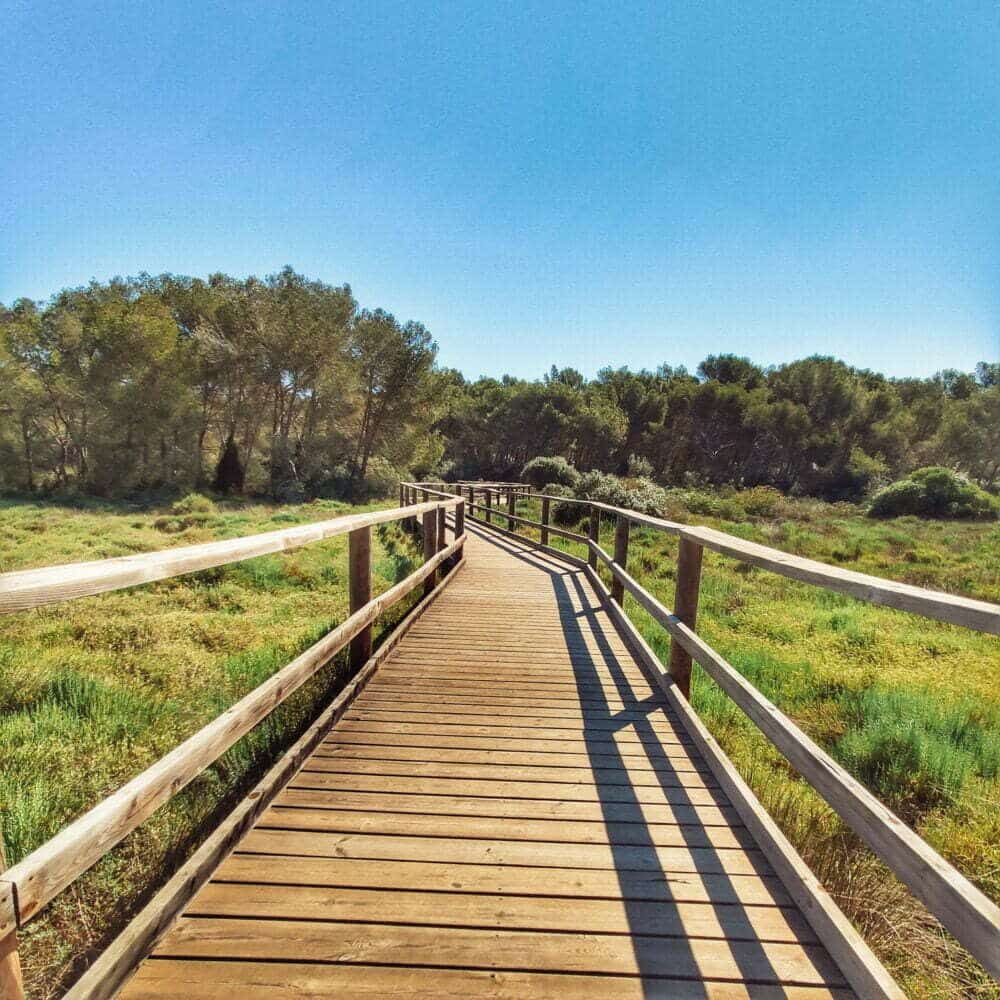 S'Albufera des Grau en autocaravana