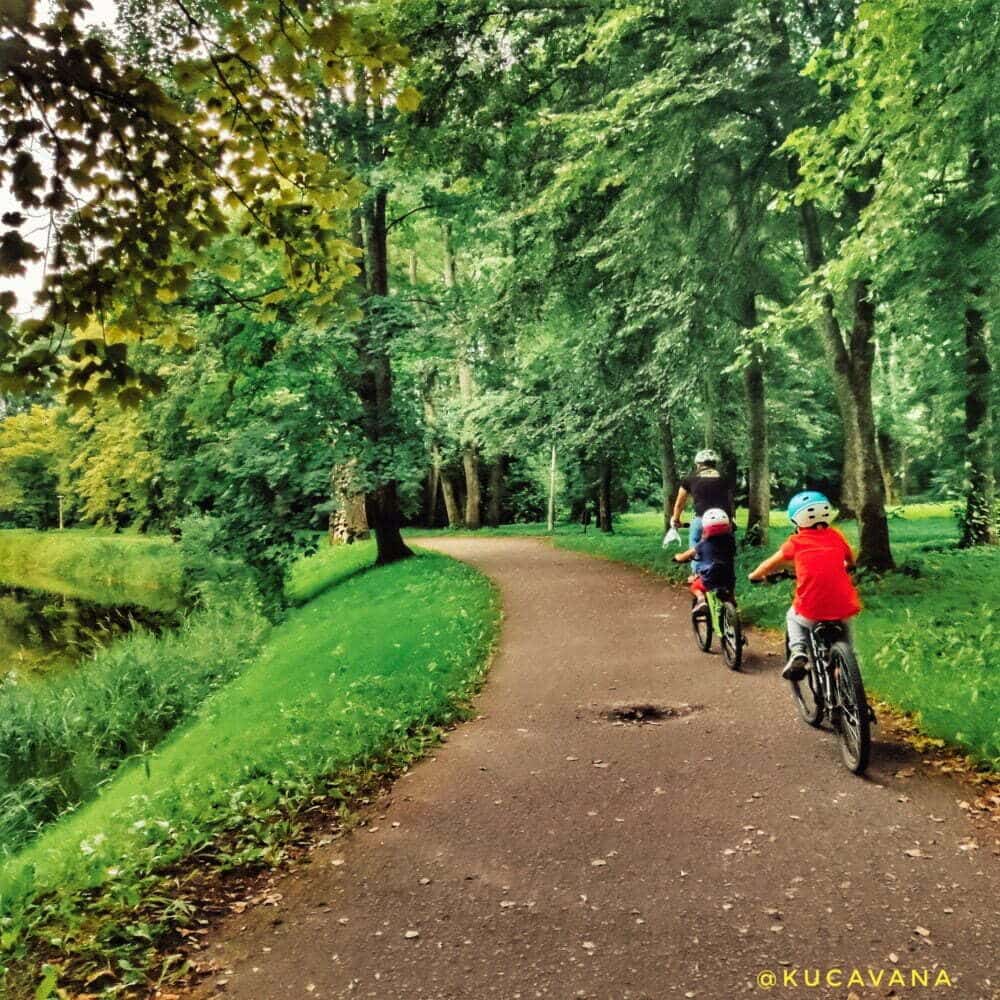 Parque Nacional Bialowieza