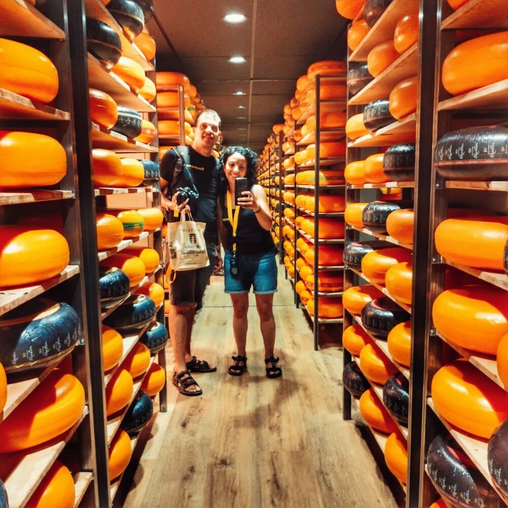 Gouda cheese experience