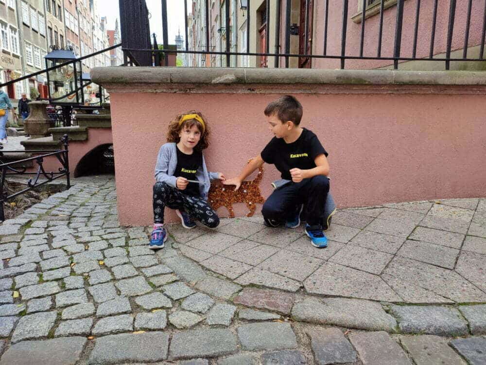 Gato âmbar em Gdansk